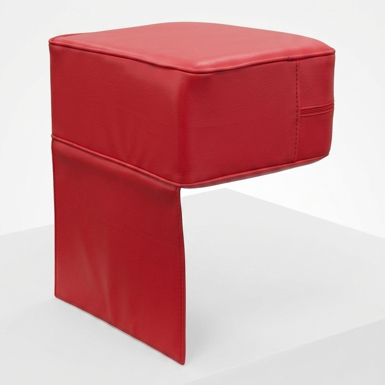 Premium Salon And Barber Booster Seat