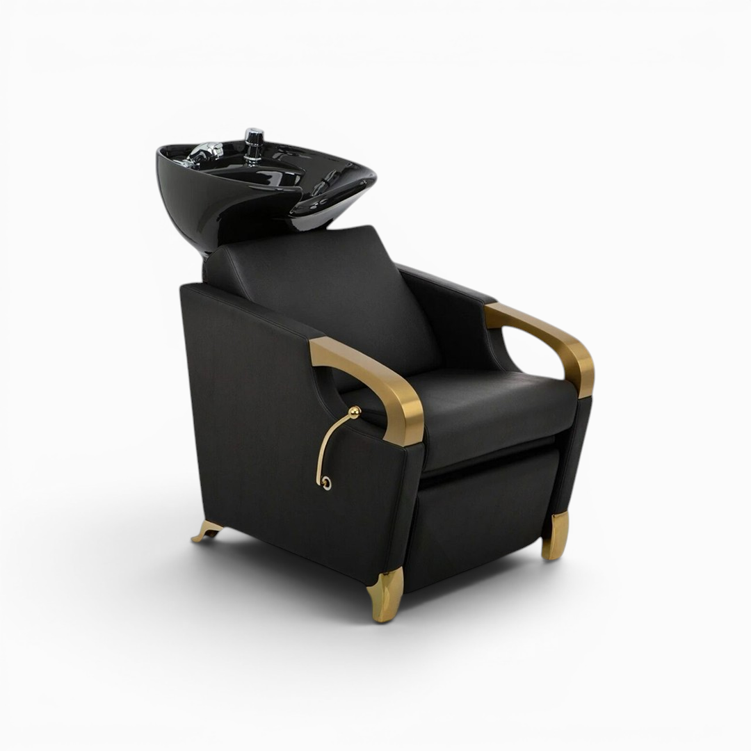 Collin Salon Backwash Unit - MDI Salon Equipment