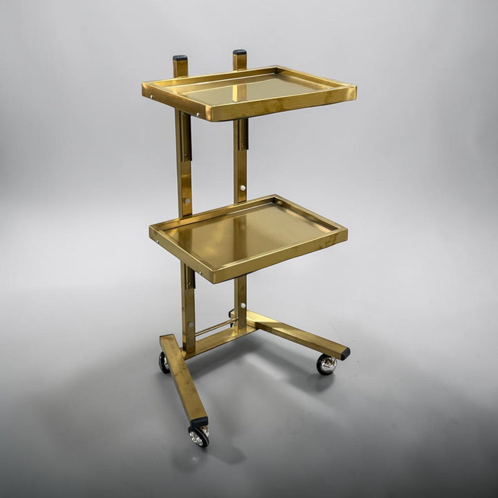 Salon Trolley Cart  Nawal Silver - MDI Salon Equipment